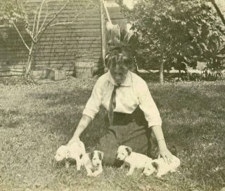 R697 Vtg Photo Woman With Pit Bull Dog Pups,  Puppies C Early 1900 