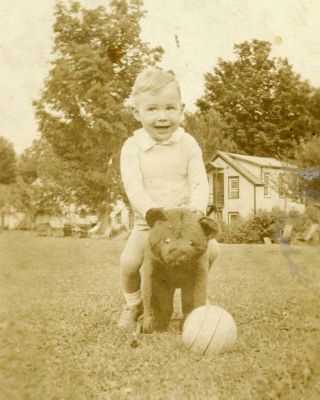 Kj367 Vtg Photo Boy Joy,  Riding Plush Bear Toy,  Wheels,  Ball Play C Early 1900 