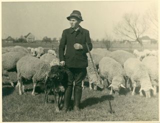 Vintage B/w Photo Of A Young German Sheep Herdsman - Boy With Dog And Sheep