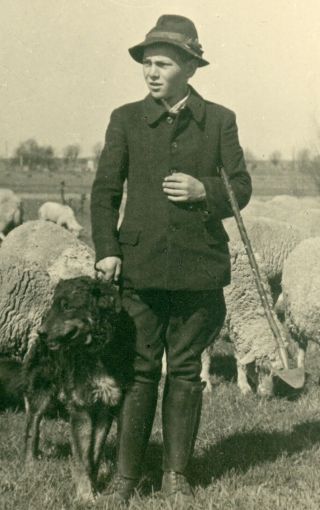 VINTAGE B/W PHOTO OF A YOUNG GERMAN SHEEP HERDSMAN - BOY WITH DOG AND SHEEP 2