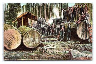 Vintage Postcard Puget Sound Timber Logging Camp Train Engine Washington F5