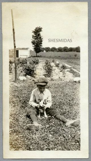 718 Little Boy With His Boston Terrier Dog,  Vintage Photo