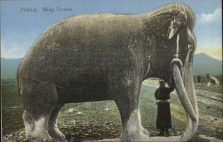 Ming Tombs Peking Beijing China Elephant Statue C1910 Postcard Exc Cond Chn
