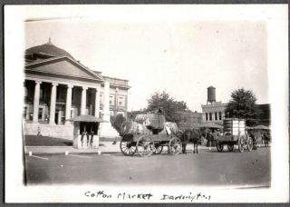 Vintage Photograph Black Americana Cotton Market Darlington South Carolina Photo