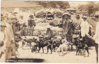 Rare Rppc Real Photo Postcard Of A Dog Market In Baguio Mountain Philippines