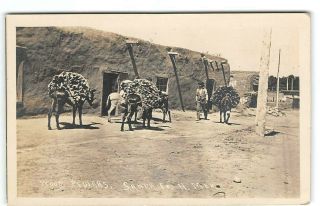 Mexico - Santa - Burro - Wood Pedlars - Carriers - Antique - Real Photo Postcard 4