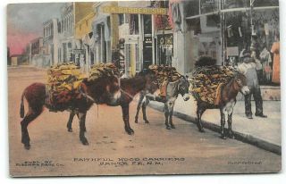 Mexico - Santa Fe - Burro - Wood Carriers - Street View - Barber Shop - Antique Postcard