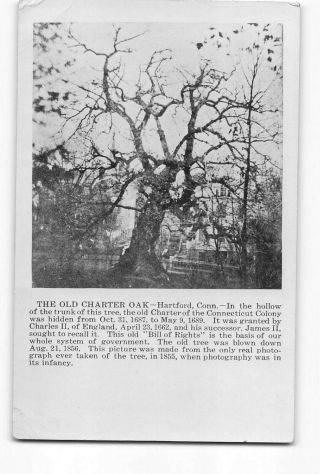 Hartford Connecticut Ct Rppc Real Photo 1956 The Old Charter Oak
