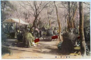 1910 Postcard Cherry Blossoms In Uyeno Tokyo Japan,  Handcolored
