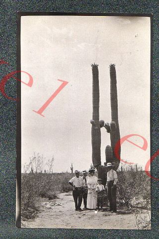Arizona Giant Saguaro Cactus & Tourists - Circa 1920 Rppc Photo Grade 5