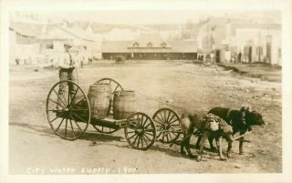 City Water Supply,  Dogs Pulling Wagon,  (kansas?) Real Photo Postcard/rppc