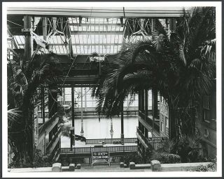 C.  1900 San Francisco Sutro Baths Pool,  Ferns & Dressing Rooms 8x10 Photo Print