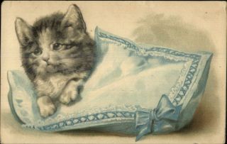Sweet Kitten - Kitty Cat On Pillow C1910 Embossed Postcard