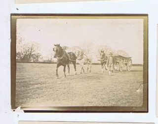Farmer Cart Horses & Wagon Rural Vintage Old Photograph 8x6cm Rh