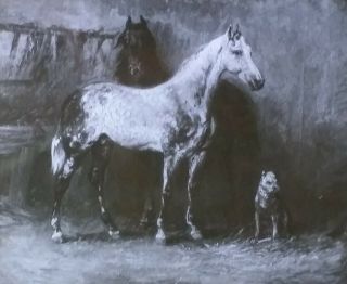 " The Dapple - Gray Horse ",  Théodore Géricault,  Magic Lantern Glass Slide