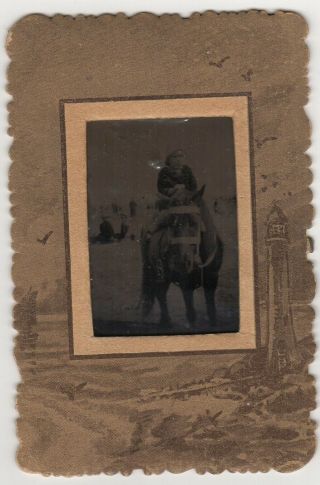 Animals Framed Tintype Metal Photograph Of A Young Child Sat On A Donkey C.  1918