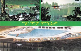Hendersonville North Carolina Osceola Lake Inn Vintage Postcard K54186