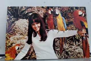 Florida Fl Parrot Jungle Miami Postcard Old Vintage Card View Standard Souvenir