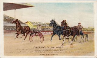 Champions Of The World Harness Racing Monk & Equity Horses Postcard F9