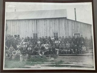 Anchorage Alaska Photo Real Photo 1910 Mill Workers Huskies Cabinet