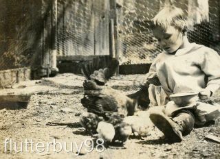 Mm277 Vtg Photo Child Sitting Chickens Baby Chicks,  Chicken Coop C Early 1900 
