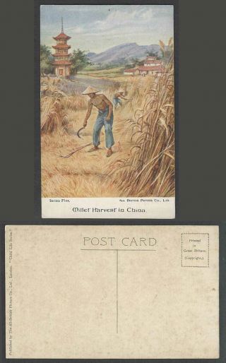 China Old Postcard Millet Harvest Pagoda Temple Chinese Farmers At Work Series 5