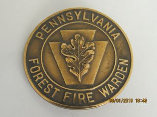Vintage Pennsylvania Forest Fire Warden Pin - Rare