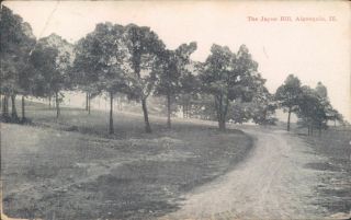 Algonquin,  Il.  1911 Street View Of The Tree Lined Road On The Jayne Hill
