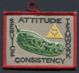 ⚜ Scouts Bsa Giant Pickle Award Badge Dangle Patch - Yellow Triangle - Old Backing