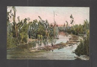 Postcard: Log Rafting On The Ocklawaha River In North - Central Florida -
