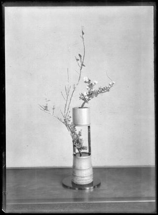 Antique Glass Negative / Ikebana Flower Arrangement / Japanese / C.  1930s