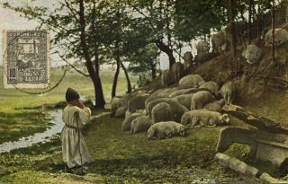 Romania,  Young Shepherd With Sheep (1910s) Stamp