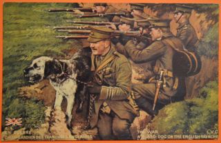 Wwi Postcard • War Dog In English Trench • Approx 1915 • Weltkrieg/pointer ?