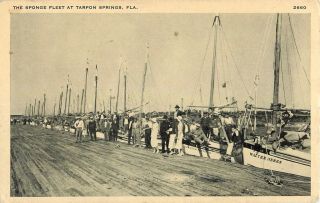 C1920 The Sponge Fleet,  Tarpon Springs,  Florida Postcard