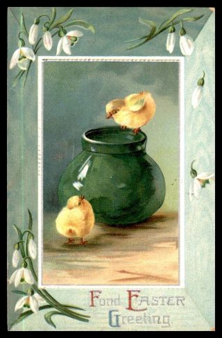 Easter Greetings Baby Chicks On Green Vase And White Flowers Intl Art Postcard