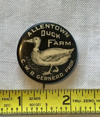 Antique Allentown Pennsylvania Duck Farm Advertising Pinback Button Poultry