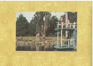 Fl High Springs 1950 - 60s Era Vintage Postcard Camp Kulaqua Diving & Swimming