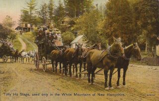White Mountains,  Hampshire - Tally Ho Stage - Coach,  Horses,  Stagecoach