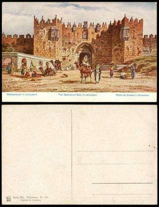Palestine Jerusalem F.  Perlberg Old Postcard Damascus Gate,  Camels,  Street Scene