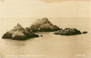 C1910 Seal Rocks,  San Francisco,  California Real Photo Postcard/rppc