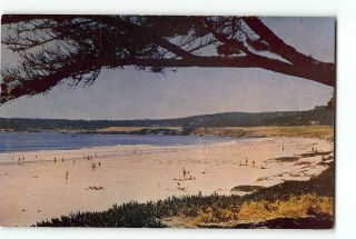 Carmel Beach California Ca Vintage Postcard Beach Scene