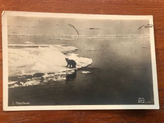 Vintage 1918 Real Photo Polar Bear In Wild Postcard Norway Rppc