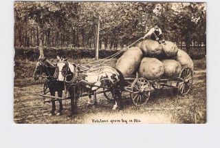 Rppc Real Photo Postcard Missouri Exaggeration Potatoes On Horse Cart With Farme