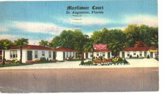 Linen Postcard Mayflower Court Cottages St Augustine Florida 1952