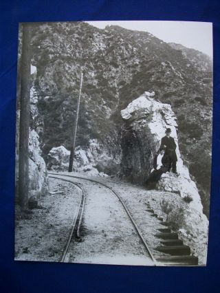 8 X 10 Glossy Photo Mt.  Lowe Railroad Pacific Electric Railway Pasadena