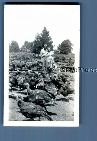 Found Vintage Photo C,  1692 Man And Woman Posed On Turkey Farm