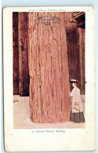 Lewis & Clark Exposition Portland Oregon 1905 Forestry Building Postcard D59