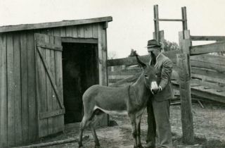 Vt487 Vtg Photo Man With His Donkey,  Iowa C 1940 