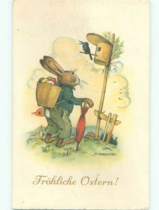 Foreign Old Easter Postcard Signed Humanized Rabbit Looking At Birdhouse Ac2817