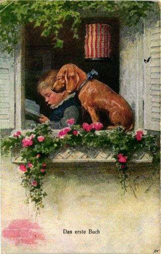 Dogs,  Brown Dachshund In The Window With A Reading Boy,  Old Postcard